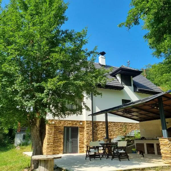 Villa Anja, hotel v destinaci Pirot