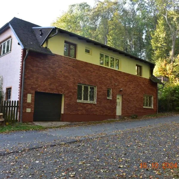 Flynnhouse, hotel v destinaci Aš