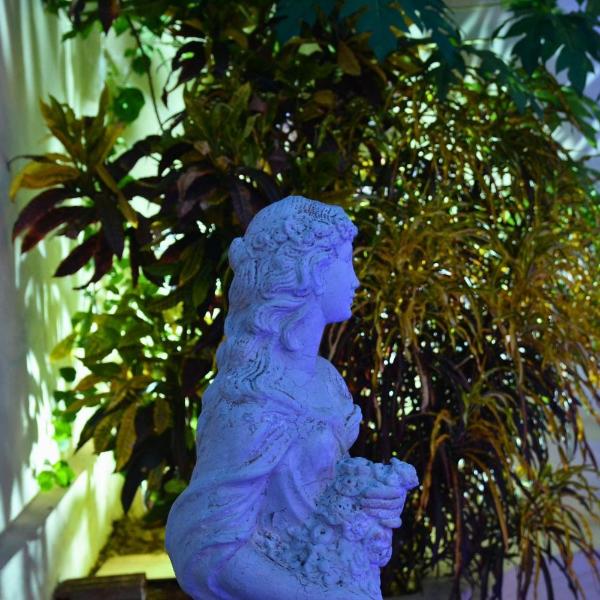 Paradise Home - Casa de temporada em Olímpia - SP - Foto 4