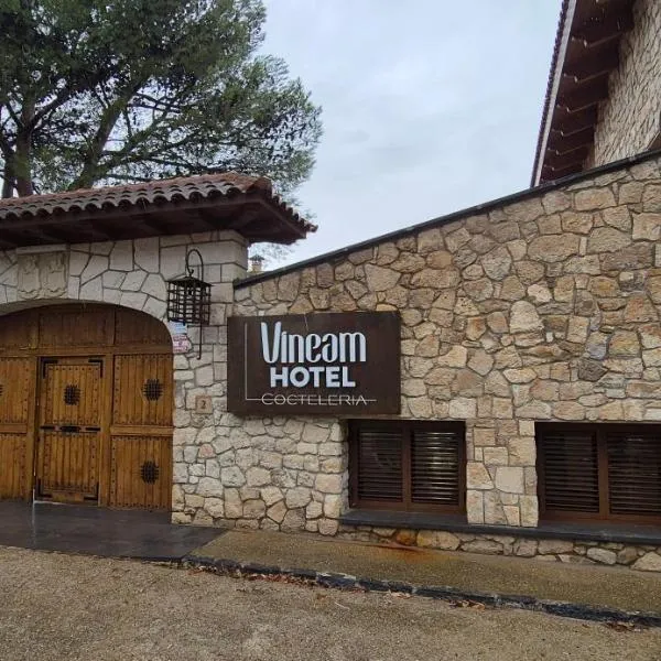 Vineam Hotel, hotel v destinaci La Muela