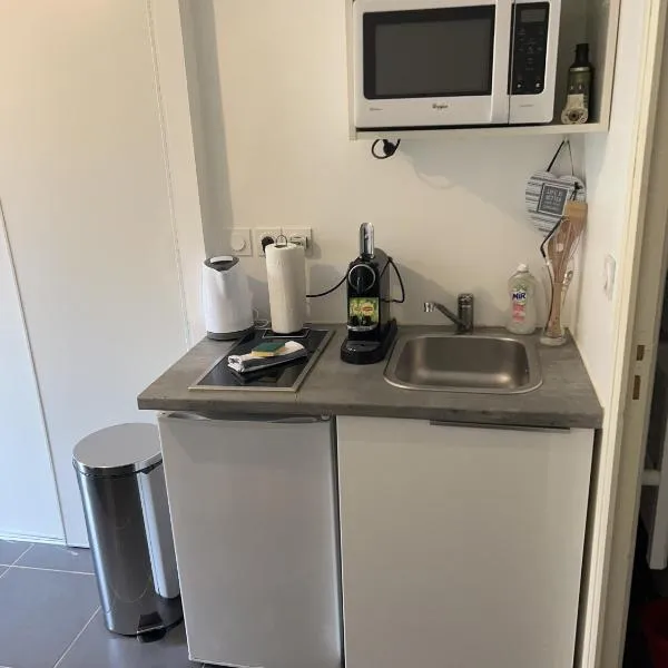 Jolie Studio, hotel em Gare des Brotteaux