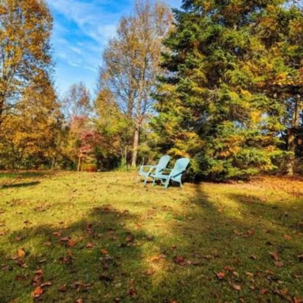 Jacuzzi, Fireplace, Nature, Views, Peaceful, Patio, hotel v destinaci Blairsville