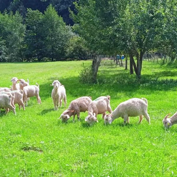 Au mohair des Alpy, hotel v destinaci Fougax-et-Barrineuf
