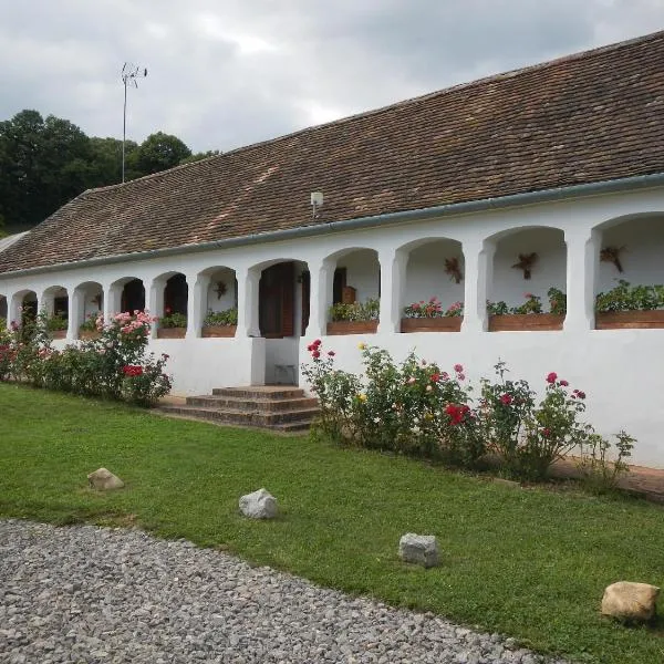 Berki Porta Vendégház, hotel v destinácii Dinnyeberki