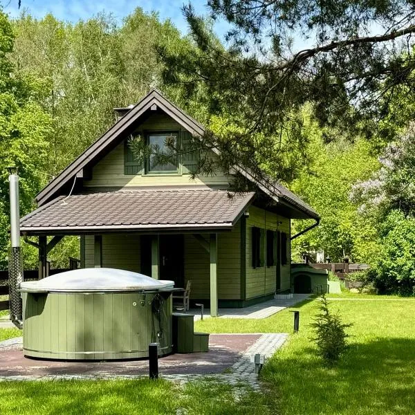 Zielony Jawornik, hotel in Jawornik Stary