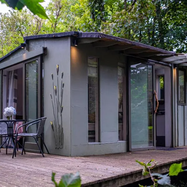 The Cwtch - Woodland cabin with country views!, hotel in Begelly