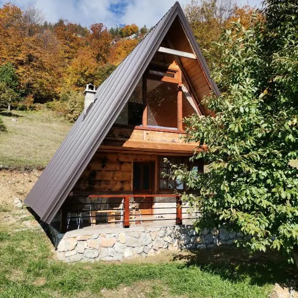 Planinska kuća Zavet, hotel v destinaci Timotijevići