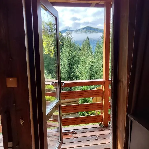 Садиба На скелі, hotel in Krivorovnya