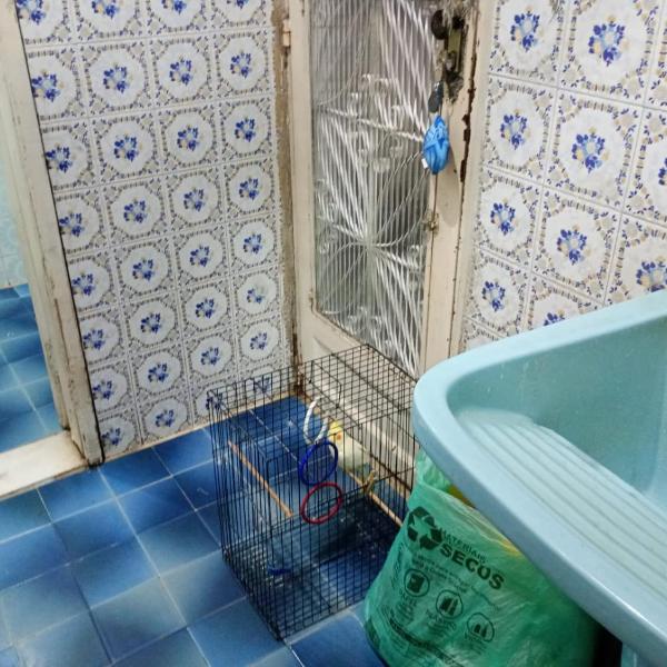 Apartamento da Vovó - Foto 3