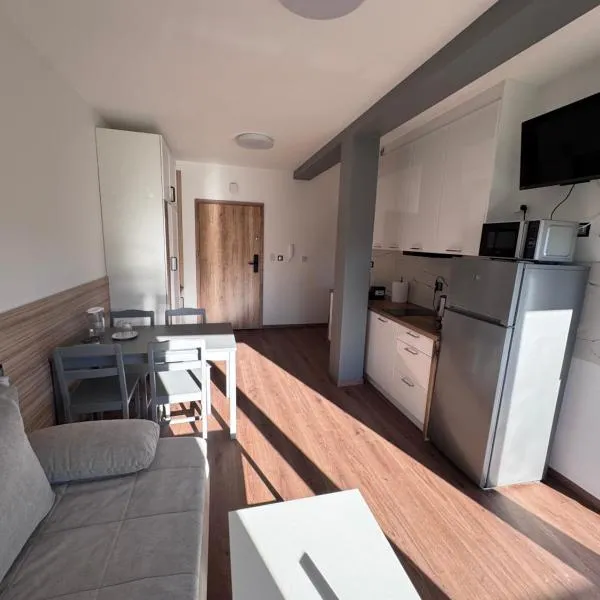 Apartament w Dolinie Sanu Lesko, hotel v destinaci Lesko