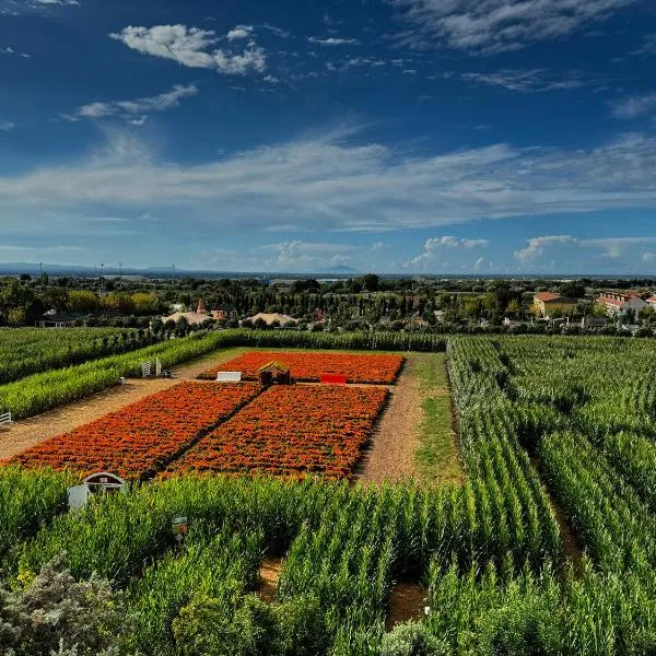 Appartamento La Rondine, hotel v destinácii Pignataro Maggiore