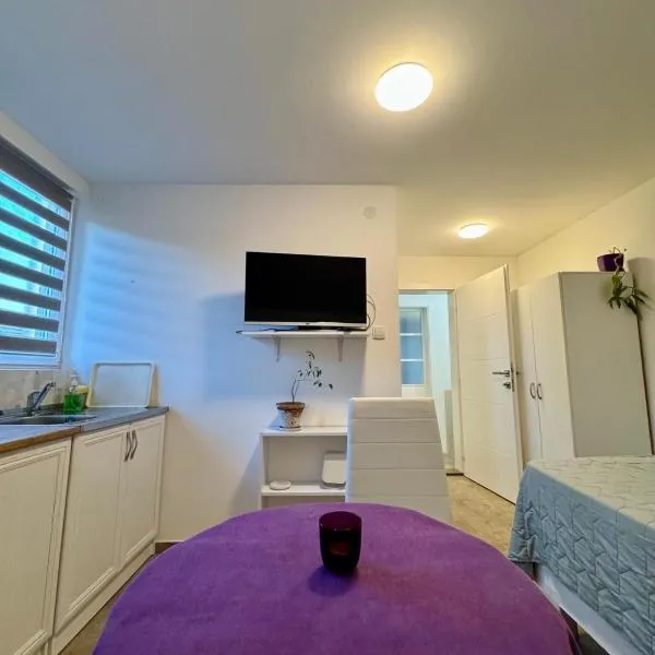 Studio Oaza Čačak, hotel in Čačak