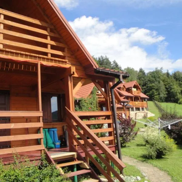 Domki pod Lasem, hotel v destinaci Rymanów-Zdrój