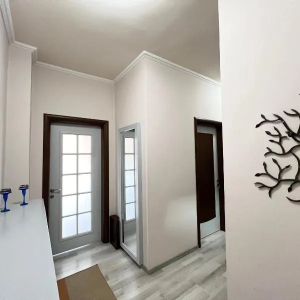 Downtown Apartment, ξενοδοχείο στην Κορυτσά