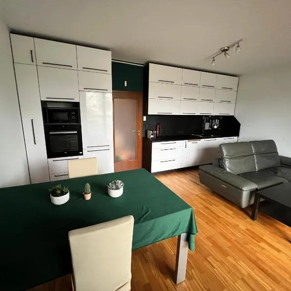 Mattioliho Apartment, hotel in Prague