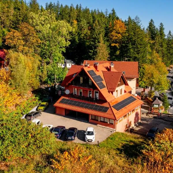 Wonder Home - Apartamenty Karkonosz blisko wyciągów narciarskich, szlaków i restauracji、カルパチのホテル