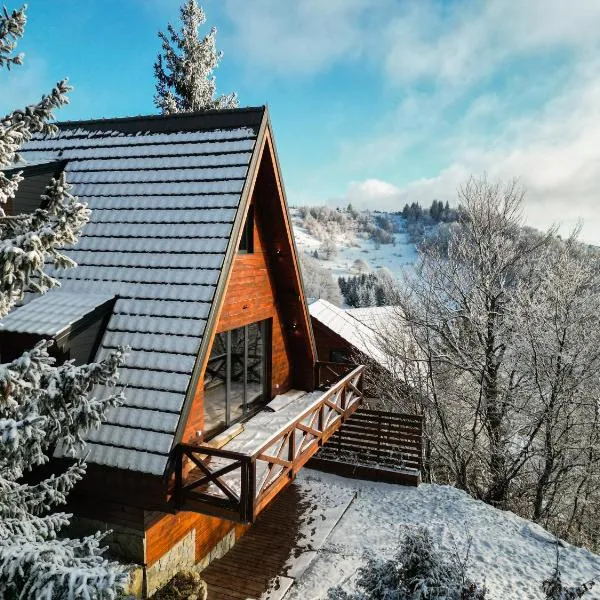 Vista Mountain House, hotel in Kopaonik
