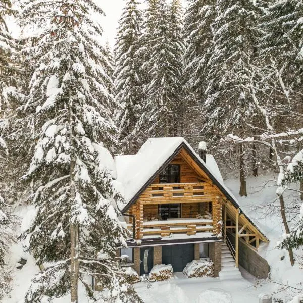Casa Montana, hotel in Kopaonik