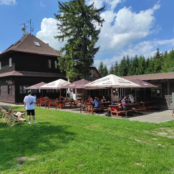 Chata Maxe Švabinského, hotel v destinaci Česká Třebová