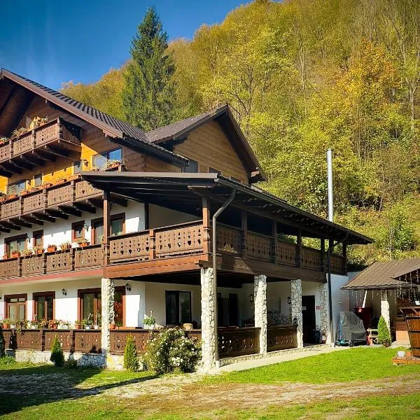 Pensiunea Drumul Iancului, hotel v destinaci Vidra