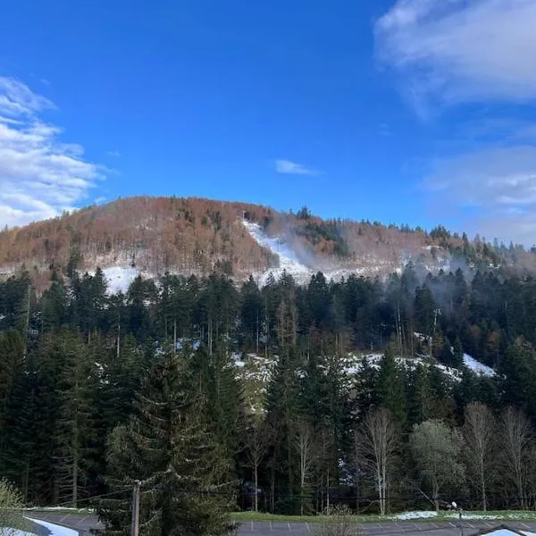 Le Balcon - La Bresse, hotel in La Bresse