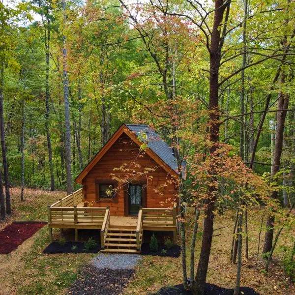 Emerald Forest! Romance, Luxury and nature mins to PF and GB, hotel din Sevierville