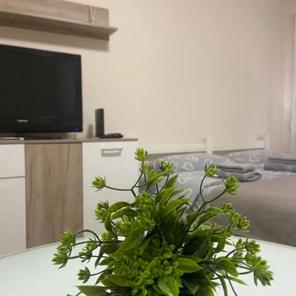 Apartman Lea, hotel en Paraćin