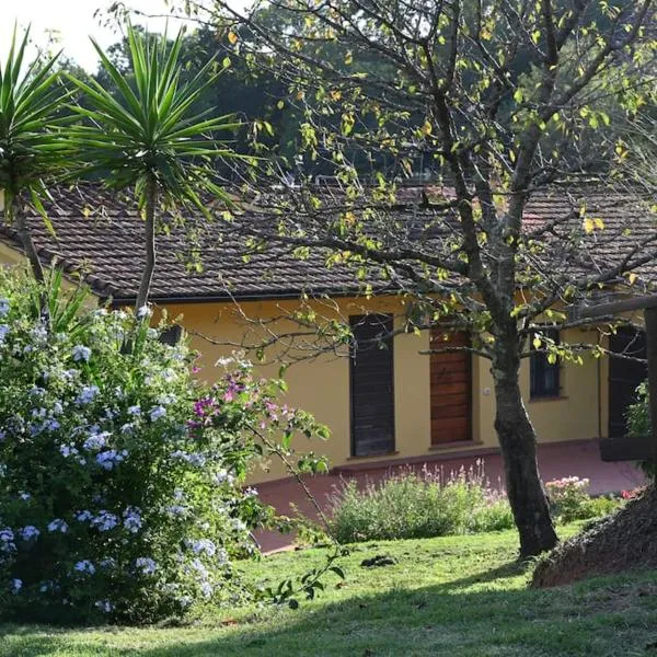 La Casa Gialla, hotel v destinaci Lucca