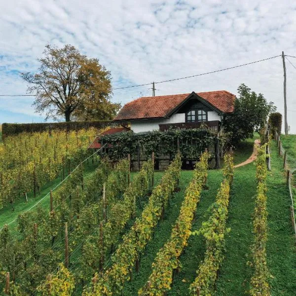 Hiška Brajda, hotel v destinaci Rogaška Slatina