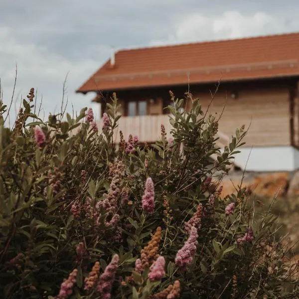 Oberwald Chalets 1, hotel in Schotten