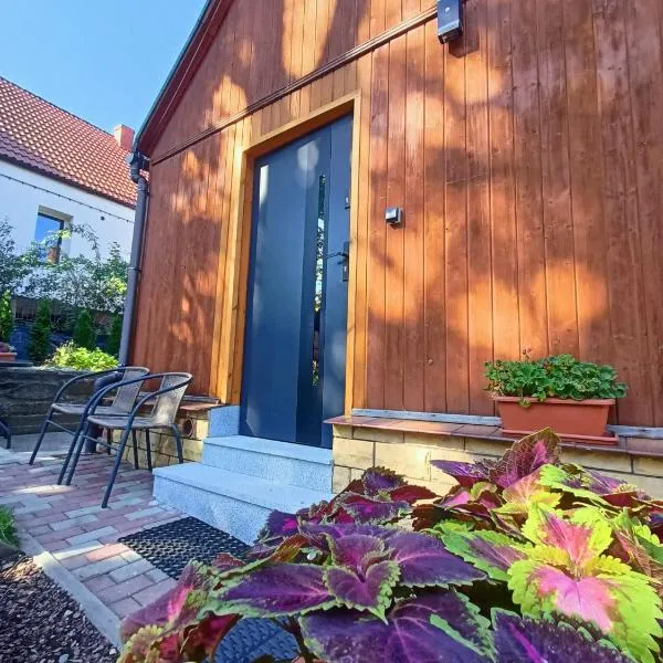 Apartament pod lipami, hotel in Jedlina-Zdrój