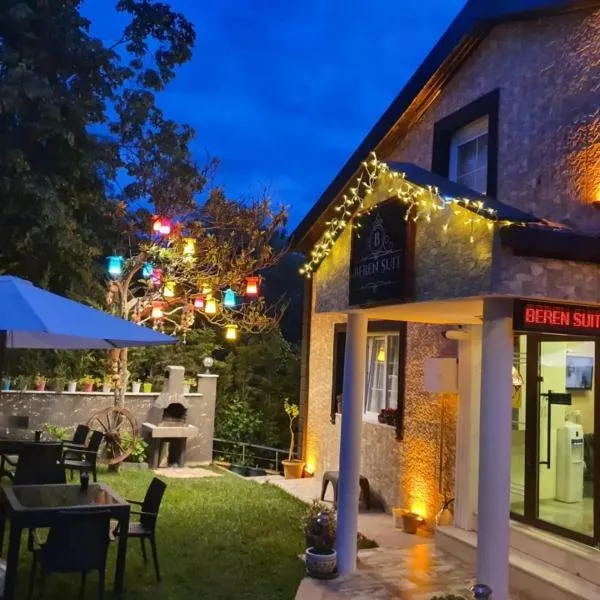 BEREN SUITE garden, отель в Шиле