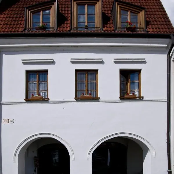 Apartments Rakoczi，位于日利纳的酒店