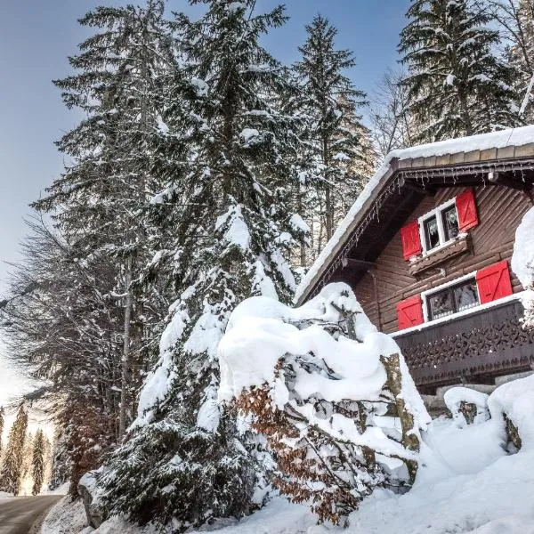 Le Petit Rêve - Lac de Montriond, hotel in Montriond