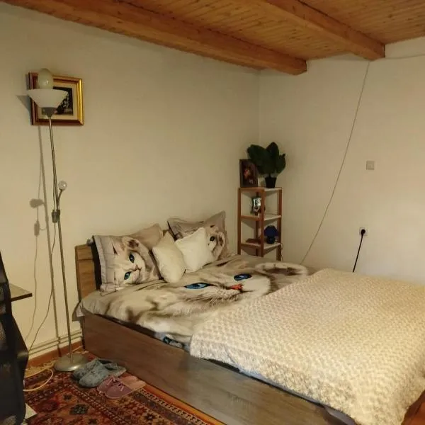 Casa cu amintiri, hotel em Bacău