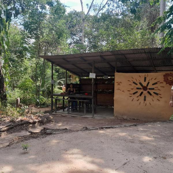 Caminho das pedras-Medicina, Consciência e espiritualidade- Hospedaria na floresta com saída ao Igarapé - Foto 5