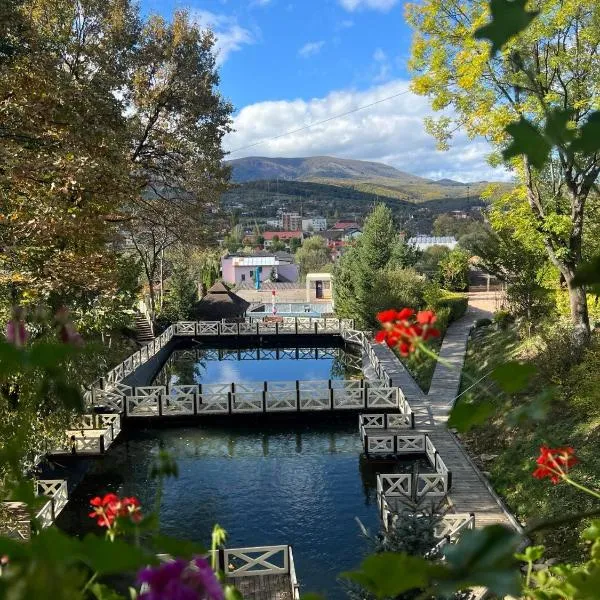 Kateryna, hotel i Polyana