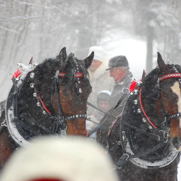 Koperkowe Rancho Beskid Wyspowy Domek Małopolskie KAMIONNA, ξενοδοχείο σε Kamionna
