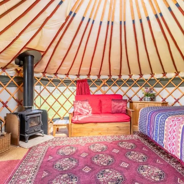Cosy-Hilltop-Yurt-StunningViews-Nature-HotTub, Hotel in Cornworthy