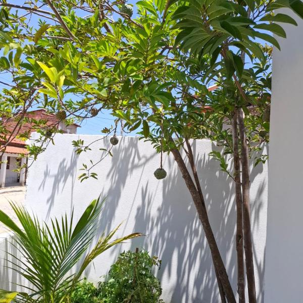 Casa Barrinha - Foto 5