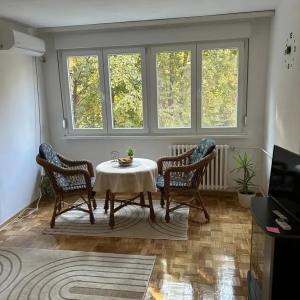 Apartman Tejsi, hotel v destinaci Tošin Bunar