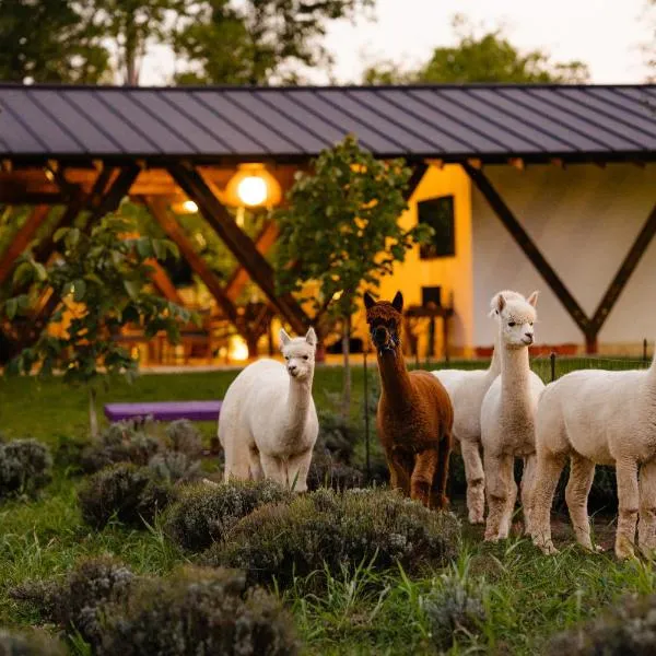 The Tribe Alpaca Retreat, hotel v destinaci Brăneşti