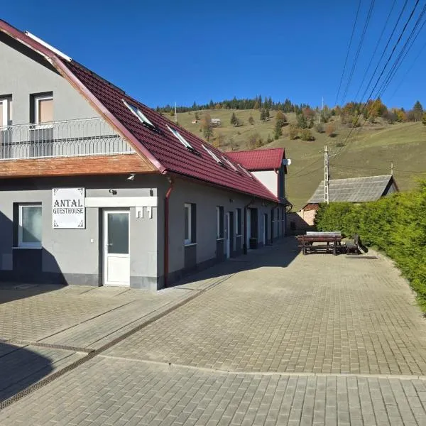 Antal Guesthouse、Ghimeş-Făgetのホテル