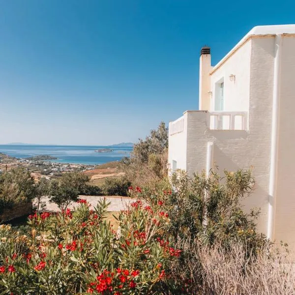 Villa Il Paradiso Andros、ガブリオンのホテル