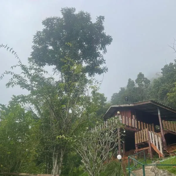 Forest Guesthouse, hotel v destinaci Samoeng