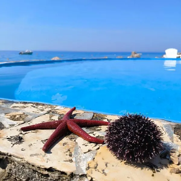 Apartments Anica Beber, hotel v destinaci Borovići