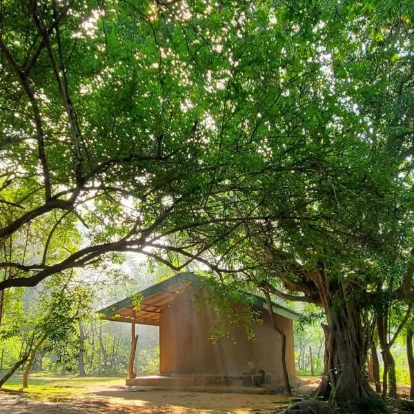 Clay Hut Village, hotel v destinaci Polonnaruwa