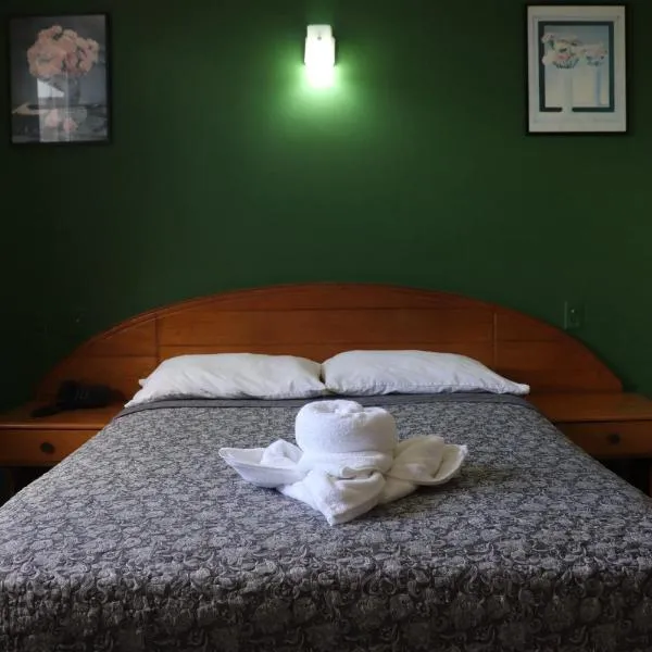 Hotel Toledo, hotel u gradu David