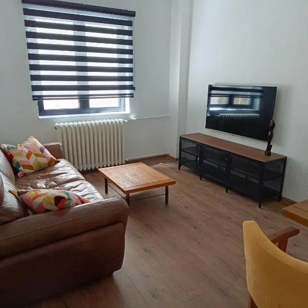 Apartman Marina Free Parking City Centre, hotel in Novi Sad