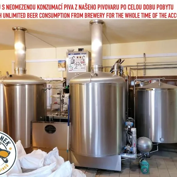 Penzion Eška s Pivovarem MJ, hotel v destinaci Jince